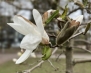 IMG_0159-copy