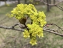 IMG_0167-copy
