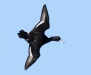 Z8A4266A-copy