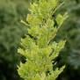 Z8A4969