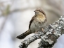 5_Z8A2944-copy